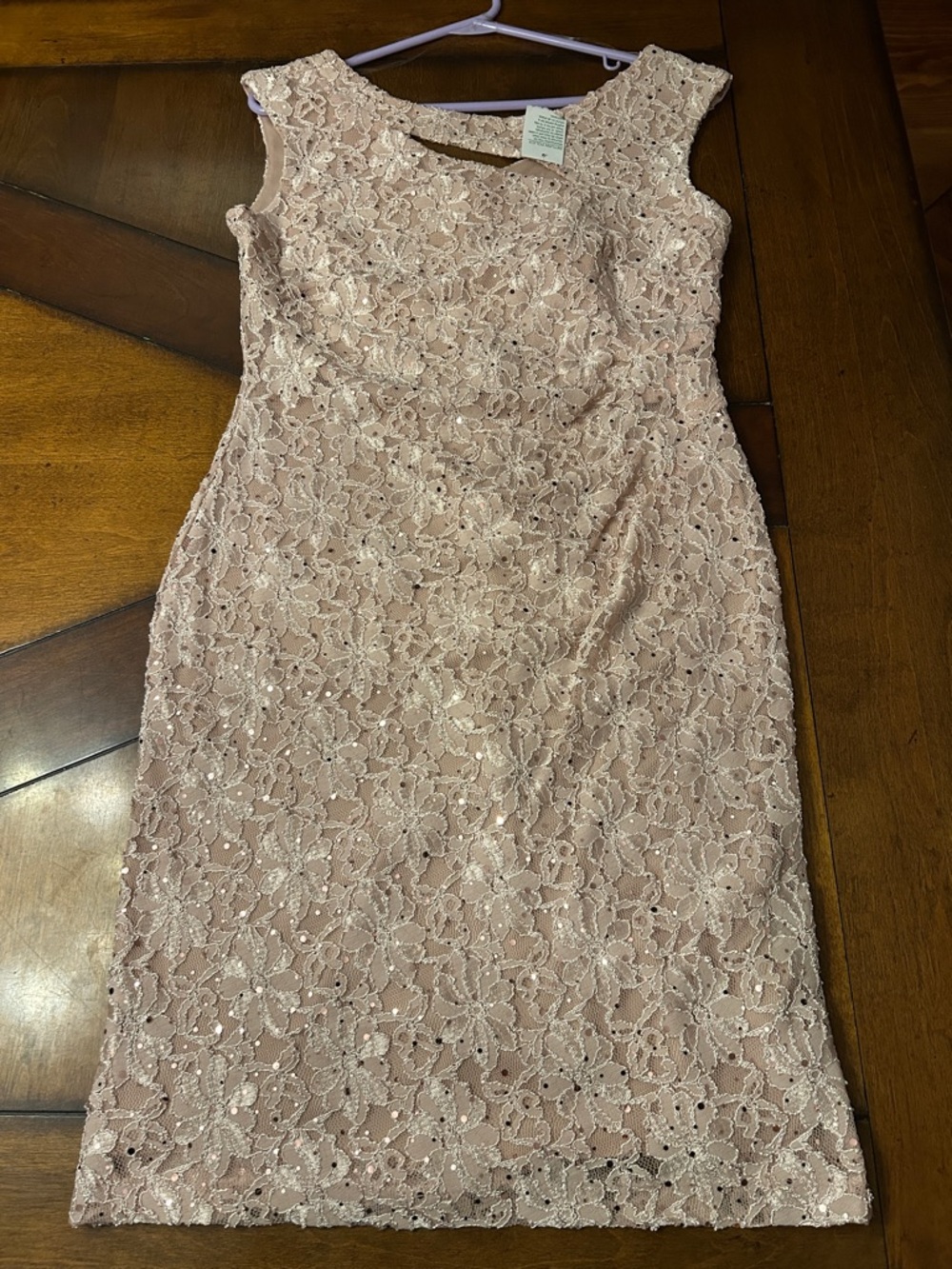 NWT Sleeveless Lace Sheath Dress in Blush Pink